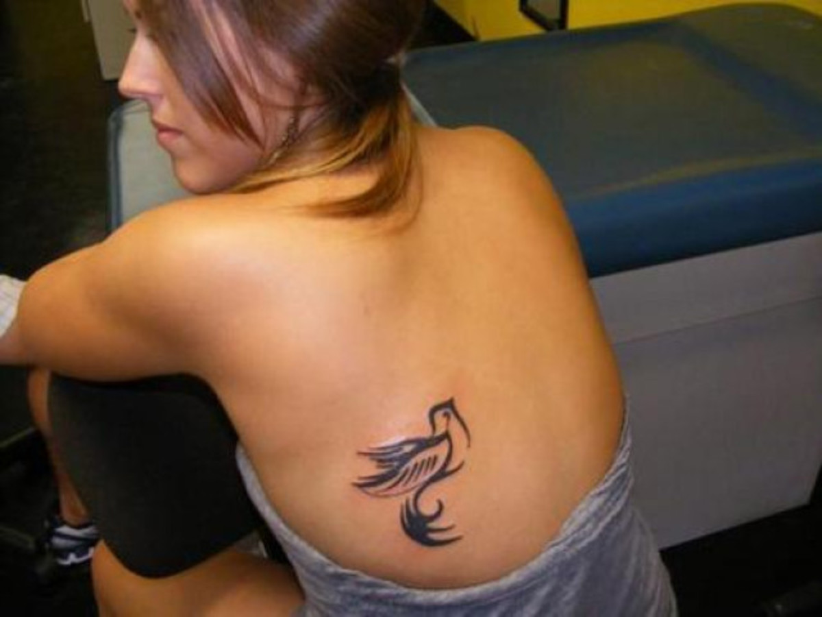 Dark Lined Dove Tattoo on Back