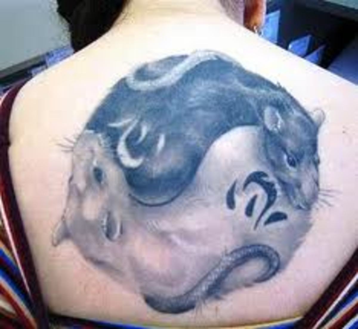 Татуировки крысы для девушек