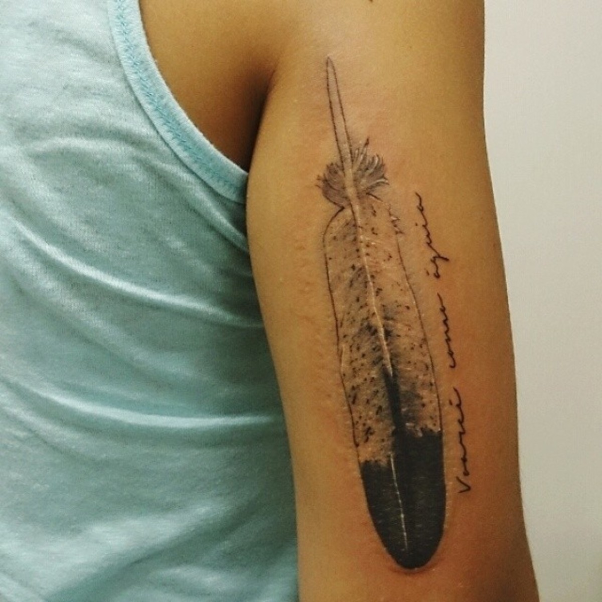 feather tattoos and meanings feather tattoo ideas and designs