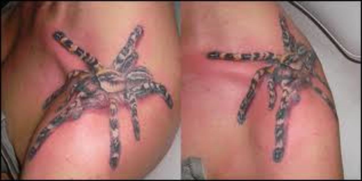 Spider and Spider-Web Tattoo Designs and Meanings