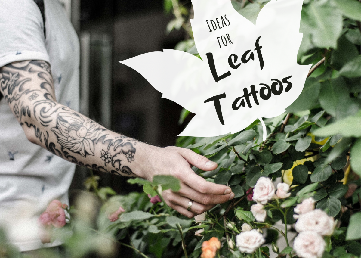 From maple leaves to pear leaves to leaves blowing in the wind, peruse some ideas for a leaf-focused tattoo design.