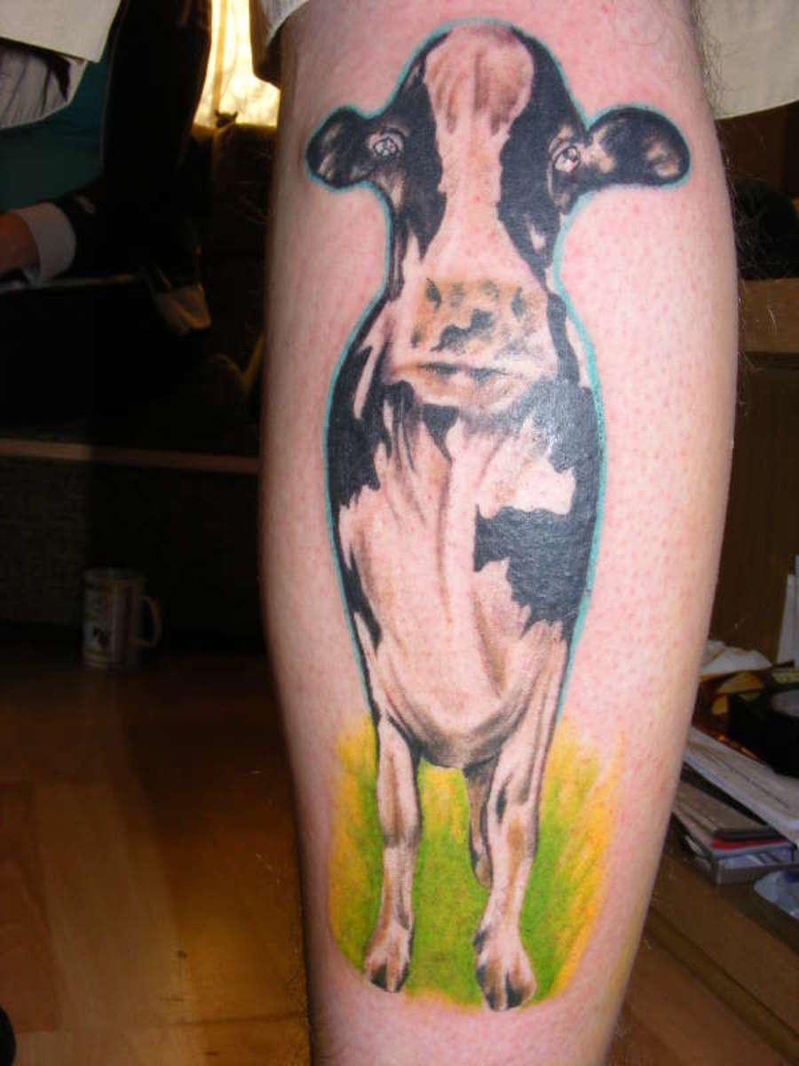 Cow Tattoo Designs