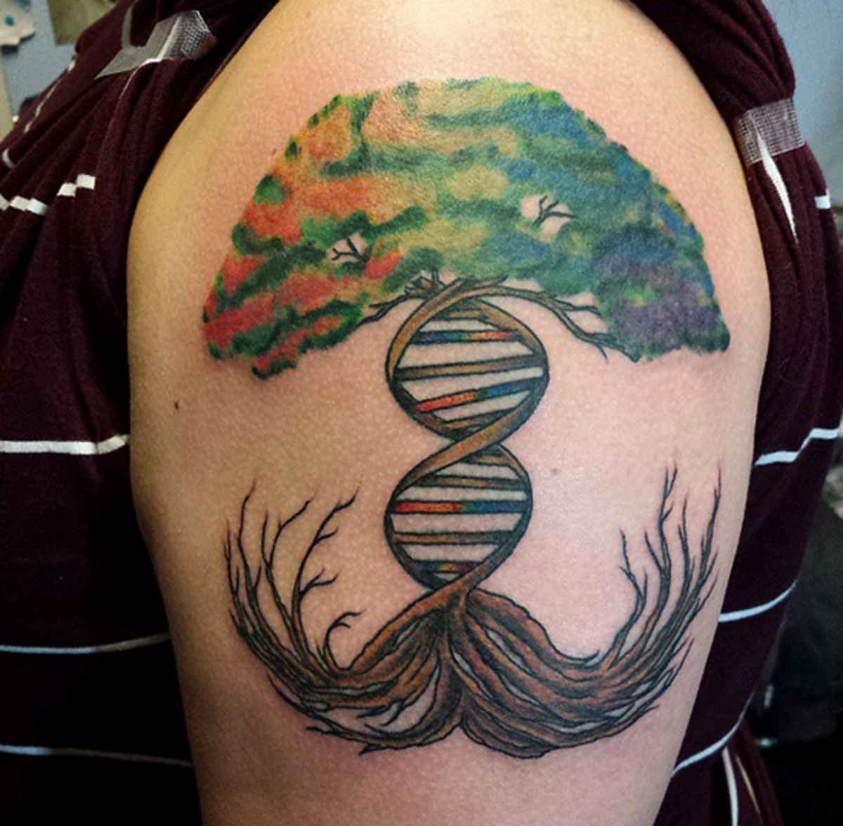 A DNA variation of the roots of a tree tattoo