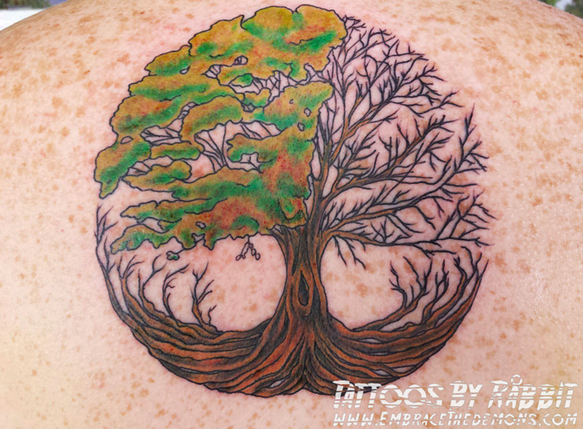 tree-tattoos-and-meanings-tree-tattoo-designs-and-ideas-tree-tattoo-pictures