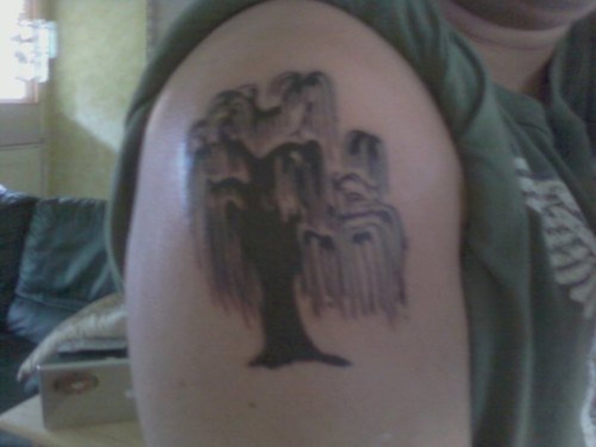 Lisa Tattoos  Weeping willow branch For kellylemay   Facebook