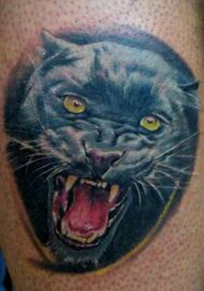 Panther Tattoo Designs and Meanings