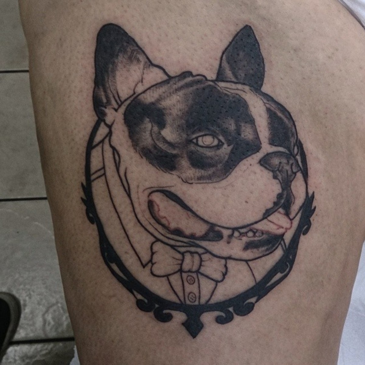 All about the bulldog tattoo.