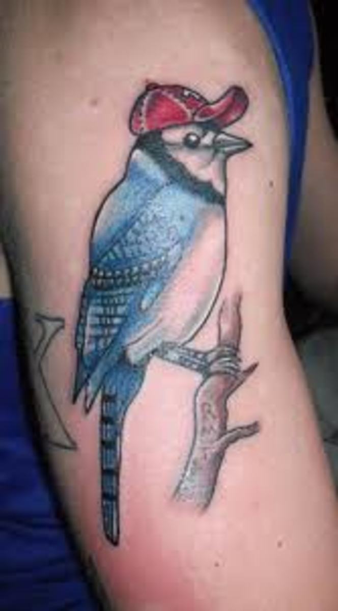 Blue Jay Tattoo Meaning.