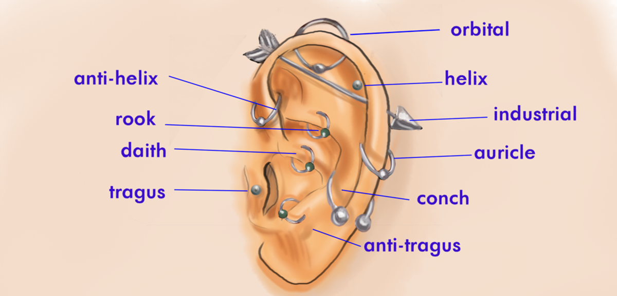 Various types of ear cartilage piercings. People have been piercing their ears since before recorded history, and the oldest mummified human ever discovered was wearing earrings.