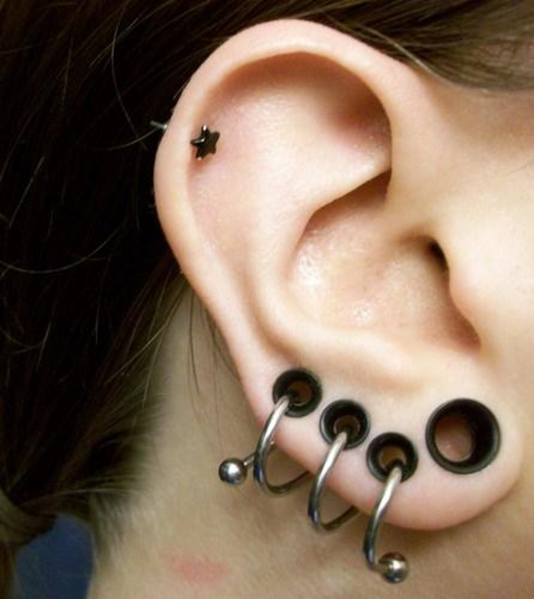 These are flesh tunnel gauges with a spiral shaped captive running through them.