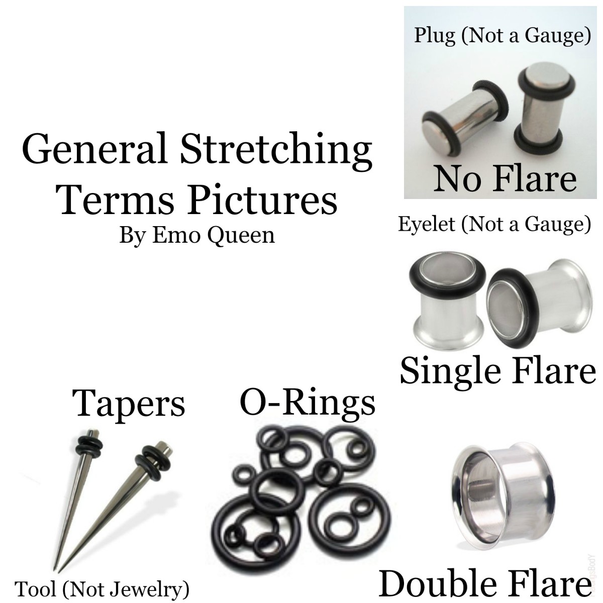 The names of the different types of jewelry used in stretched earlobes. 