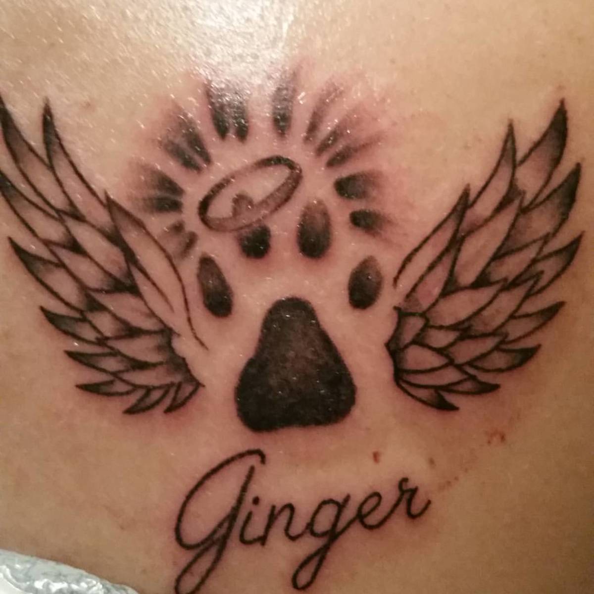 My First Tattoo In Memory Of Ginger My Chocolate Lab Tatring Tattoos Piercings