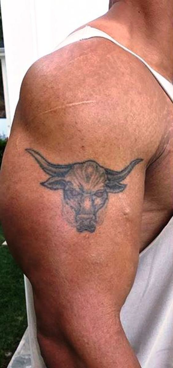 Details 85+ about brahma bull tattoo super hot - in.daotaonec