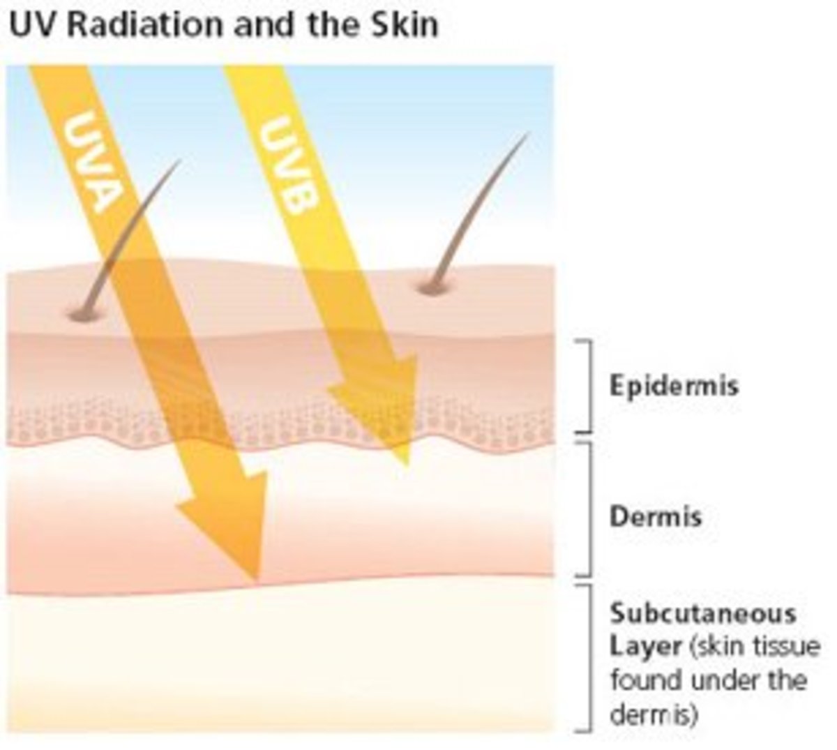 Microblading Bahrain - Temu Australia