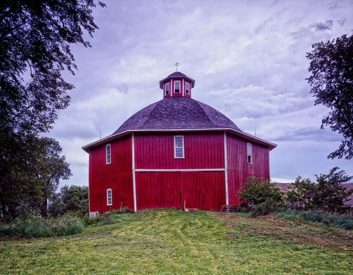 The Michigan Thumb is known for octagonal barns.