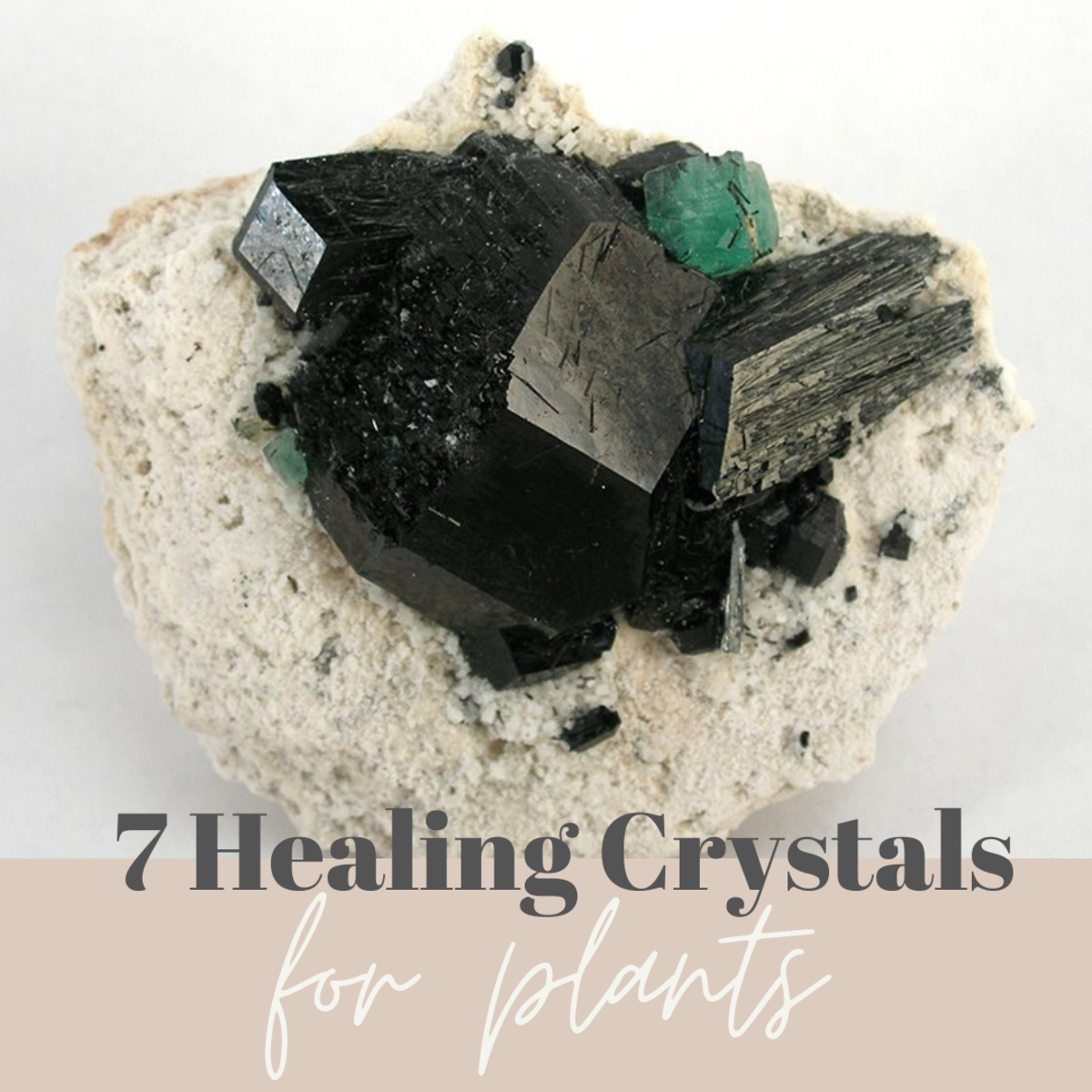 Who knew crystals could heal plants, too?