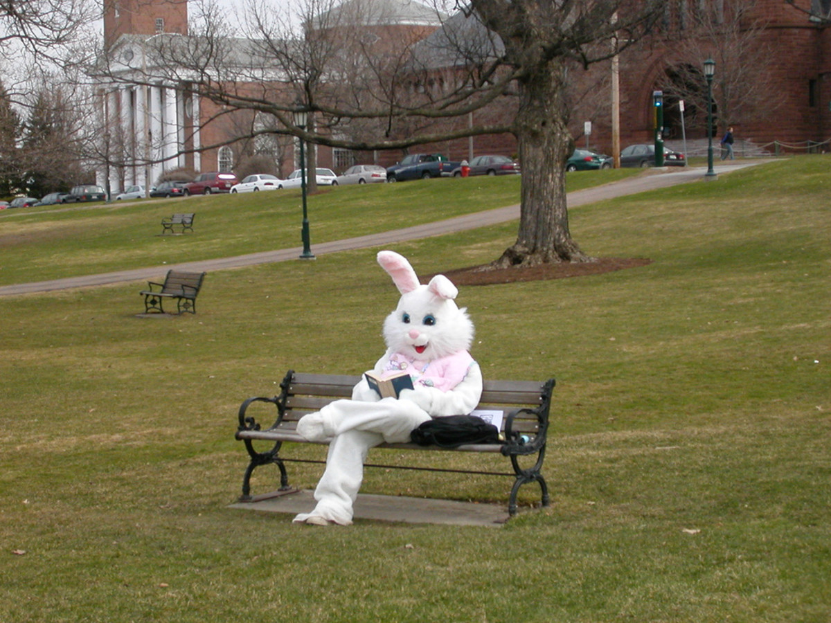 Easter Bunny costume
