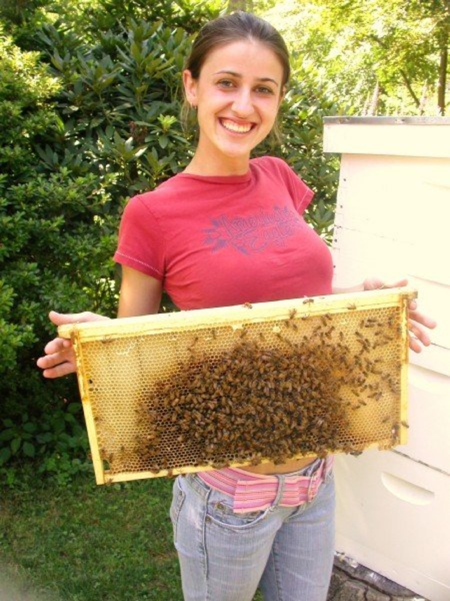 Женщина пчеловод