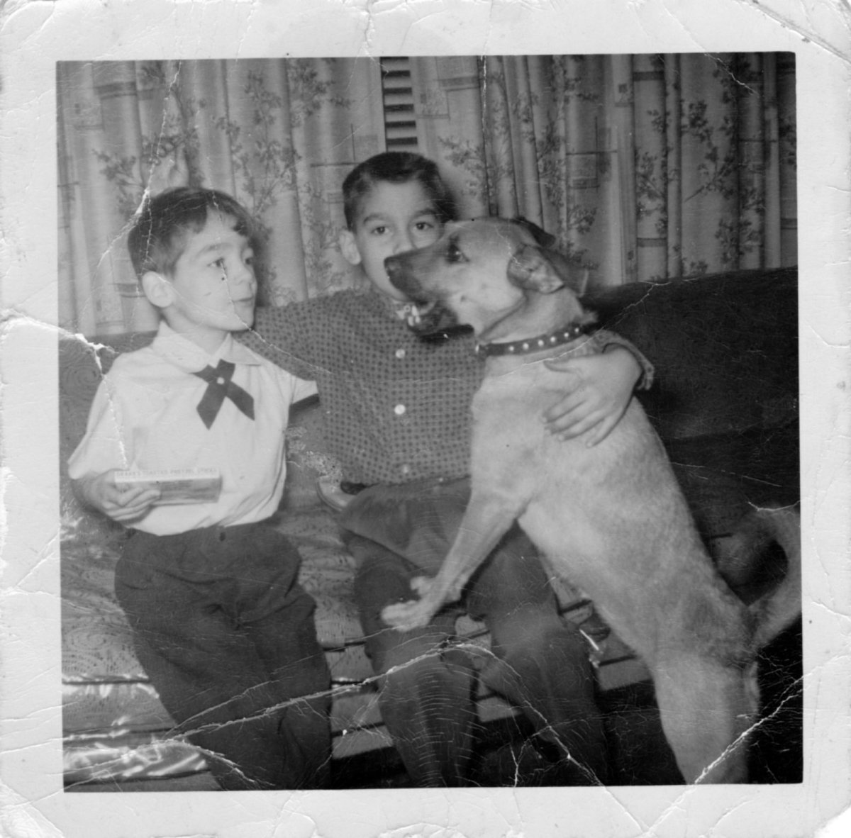 Memories of a first childhood pet, a dog named 
