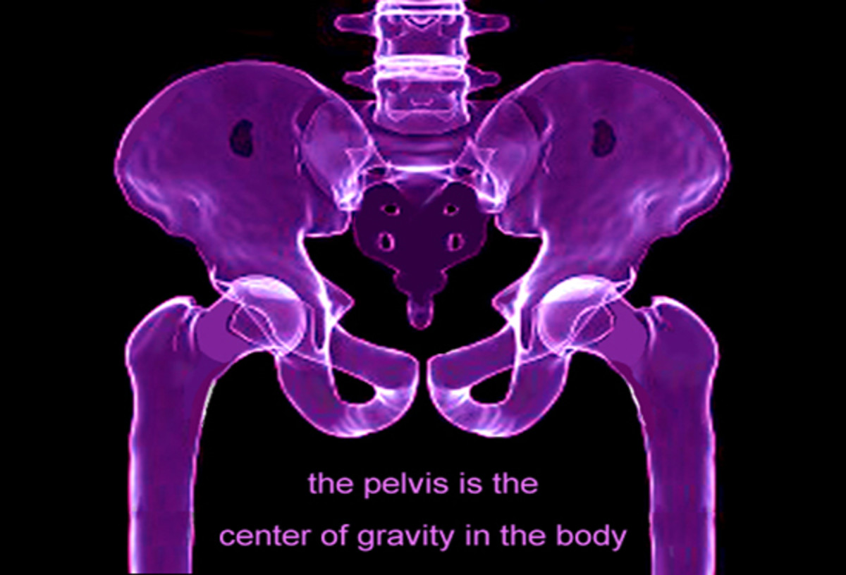 The pelvis is the center of gravity in the human body, also referred to as the "core". 