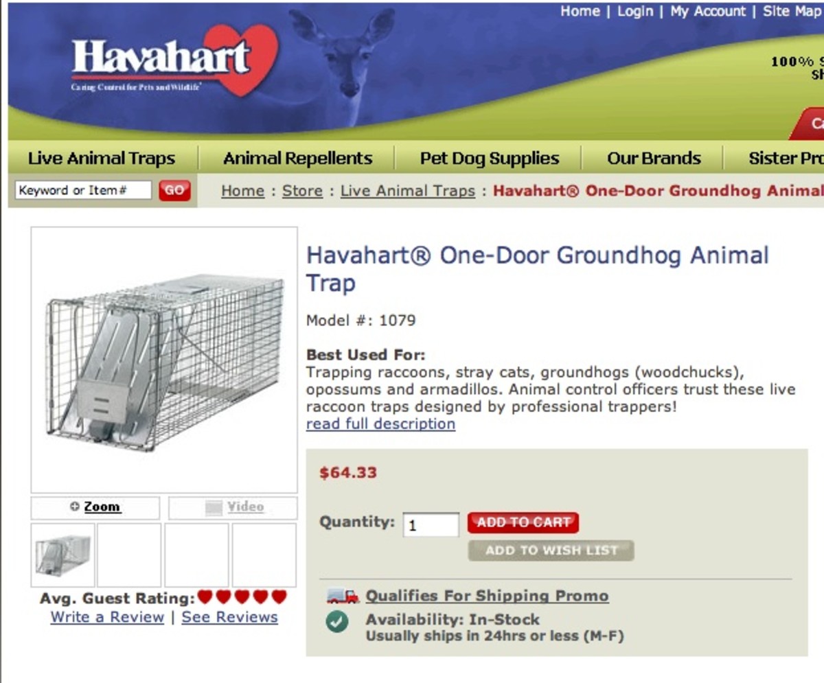 Havahart 1079 Large 1-Door Humane Animal Trap Raccoons, Cats, Groundhogs,  Opossums Pack of 4 