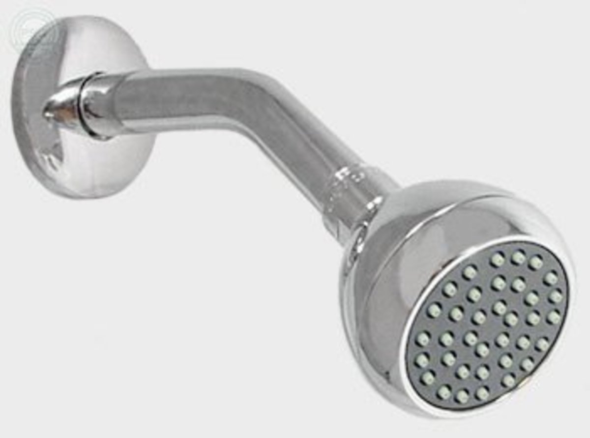 The infamous shower head