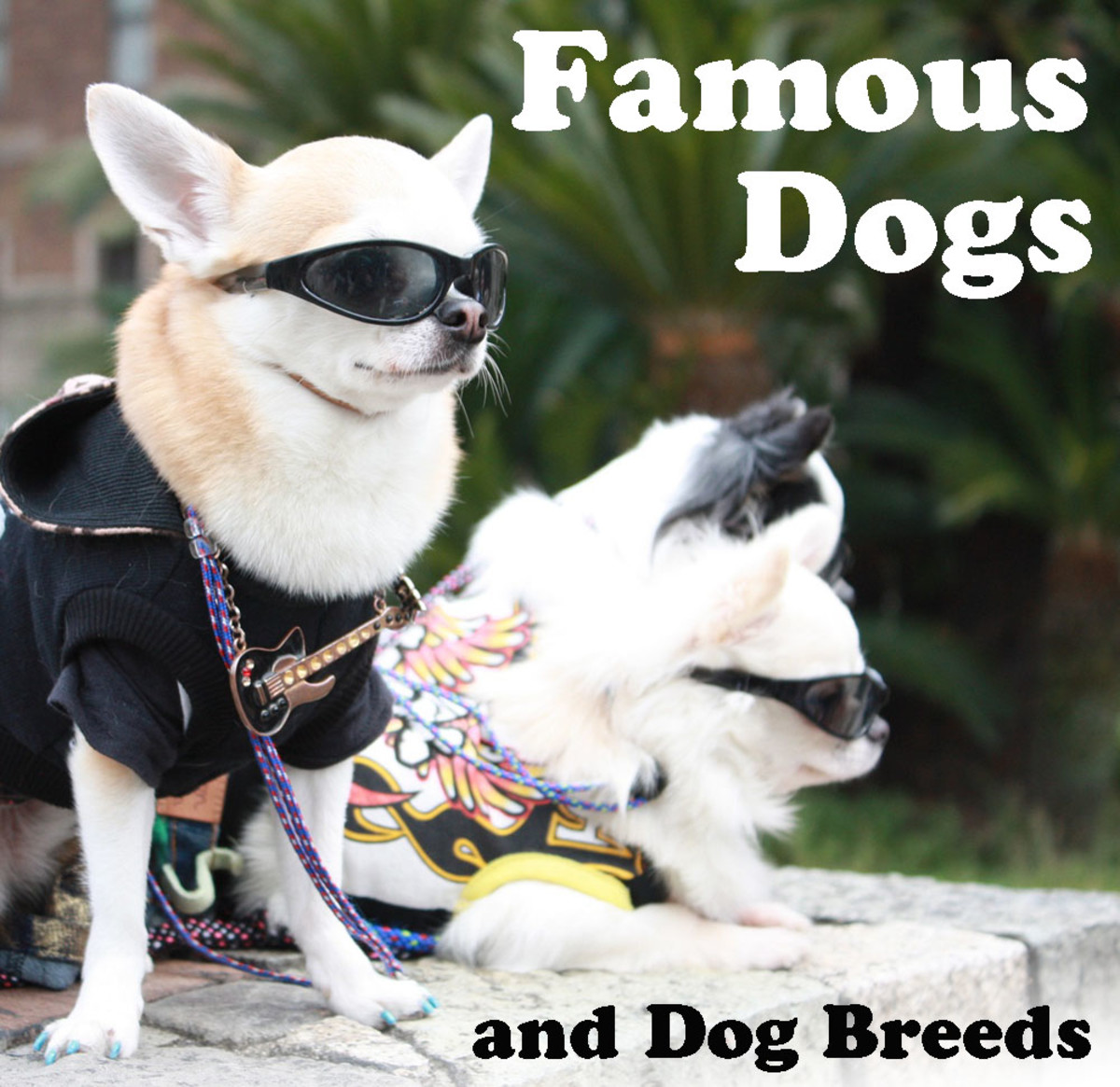 famous puppies