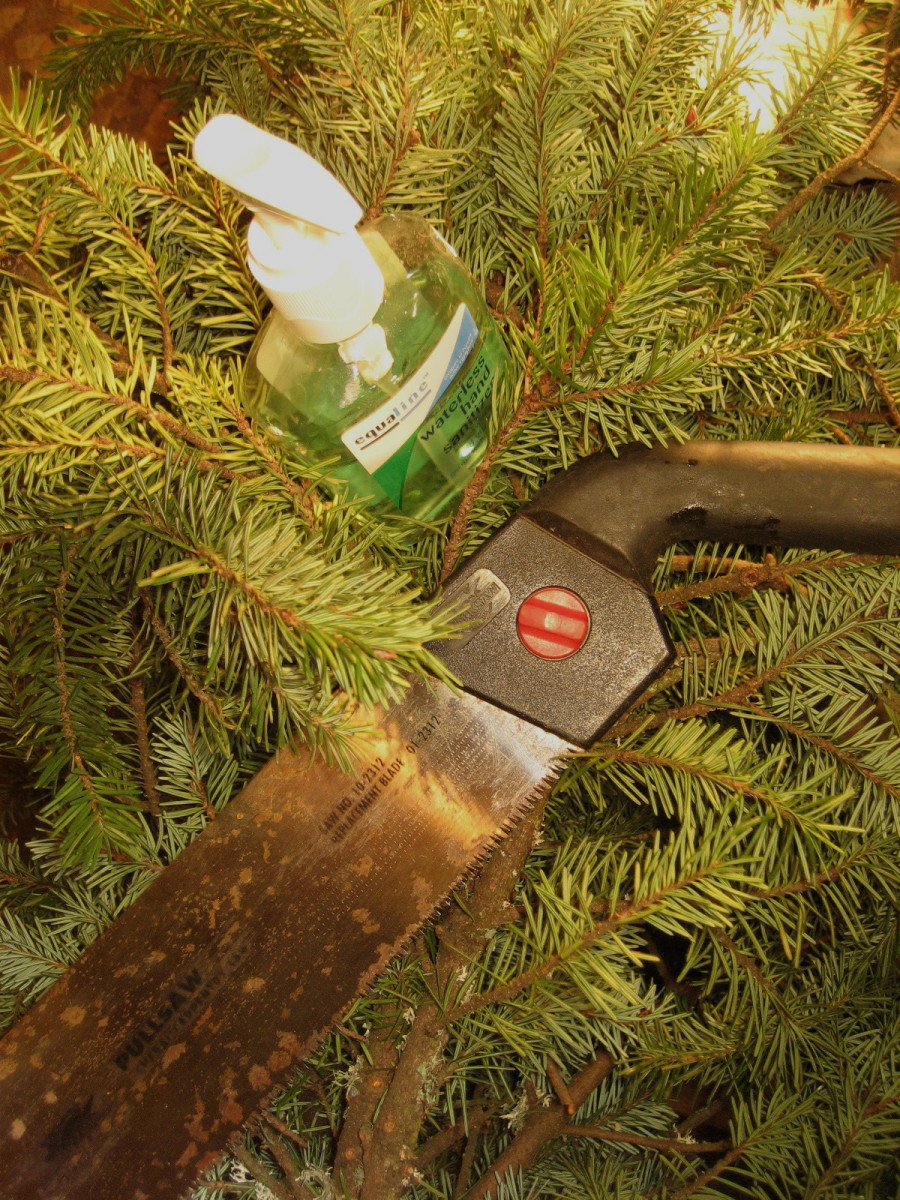 Hand sanitizer is great at removing sticky gooey pine resin!