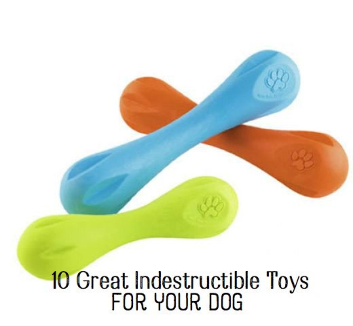 10 Most Indestructible Dog Toys