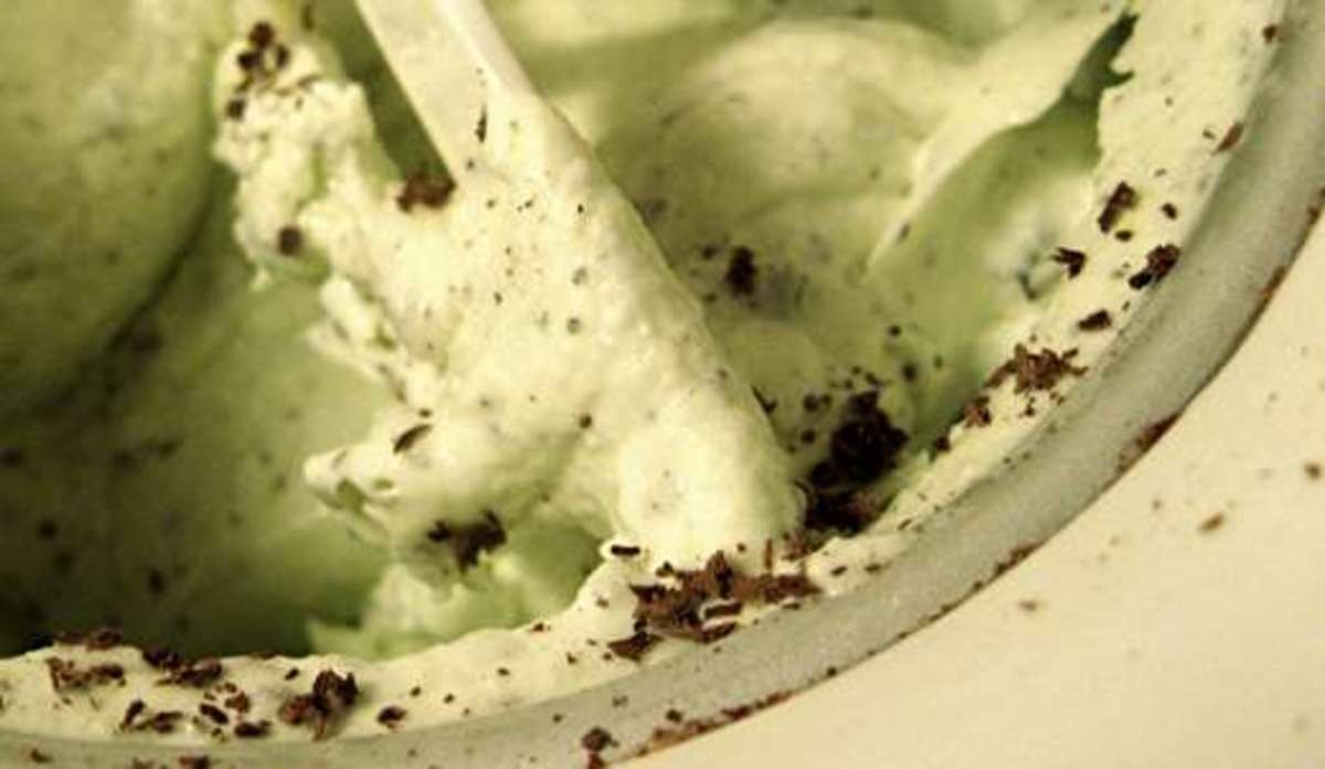 Homemade Mint Chocolate Chip Ice Cream (With Mint Extract)