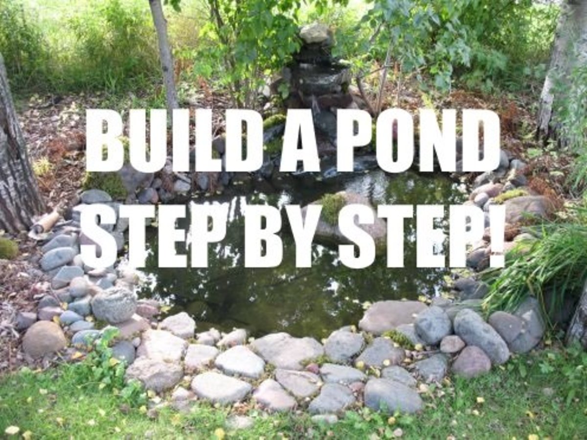 How to Build a Reflecting Pond - Dengarden