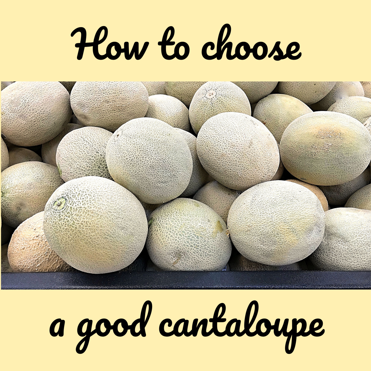 How to Pick the Perfect Sweet Cantaloupe: 6 Tips