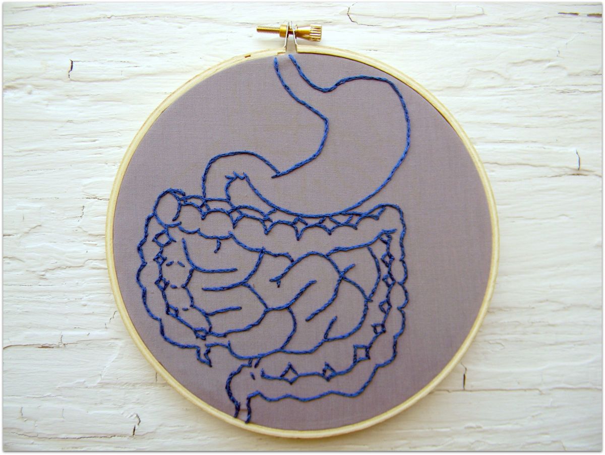 Embroidery:  Anatomy of the digestive system