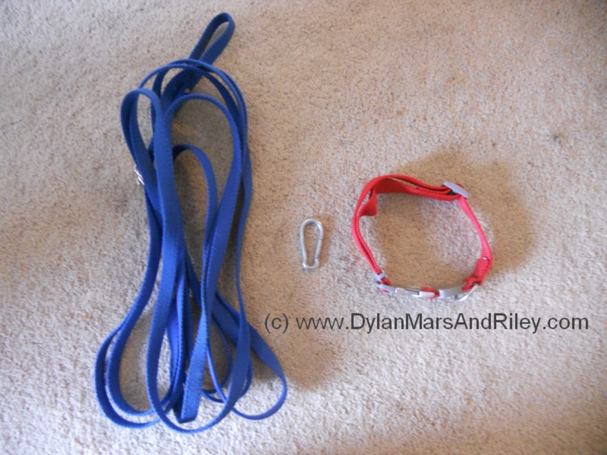 How to Make a Simple No-Pull Dog Harness From Things You May Already Have - PetHelpful