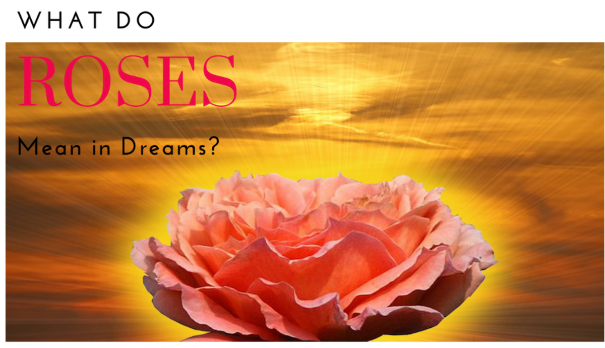 What Do Roses Mean In Dreams Exemplore