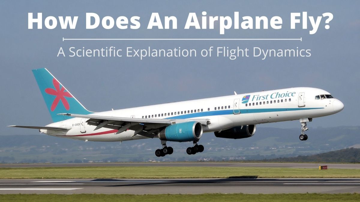 Read on to learn how the various components of an airplane and how they are able to fly.