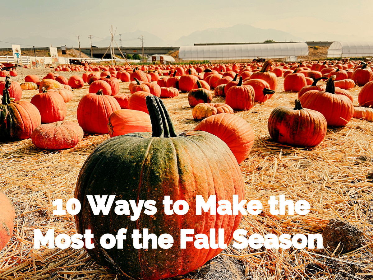 Fall is my favorite season, and these are my 10 favorite ways to enjoy it. 