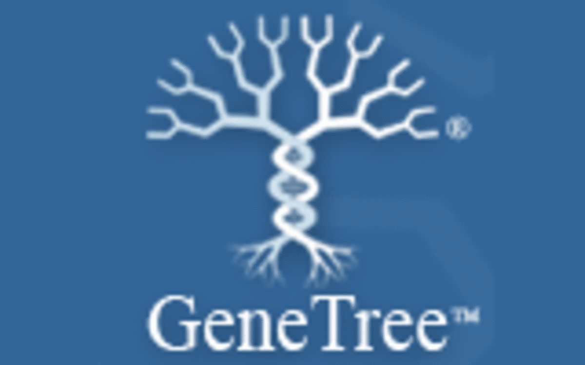 dna-genealogy-test-comparison