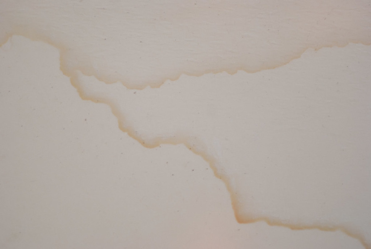 Stains could mean mold in the walls. 