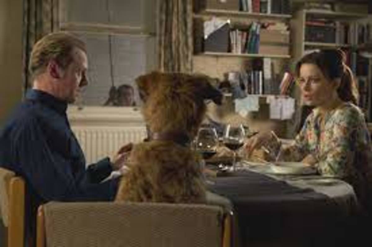 absolutely-anything-review