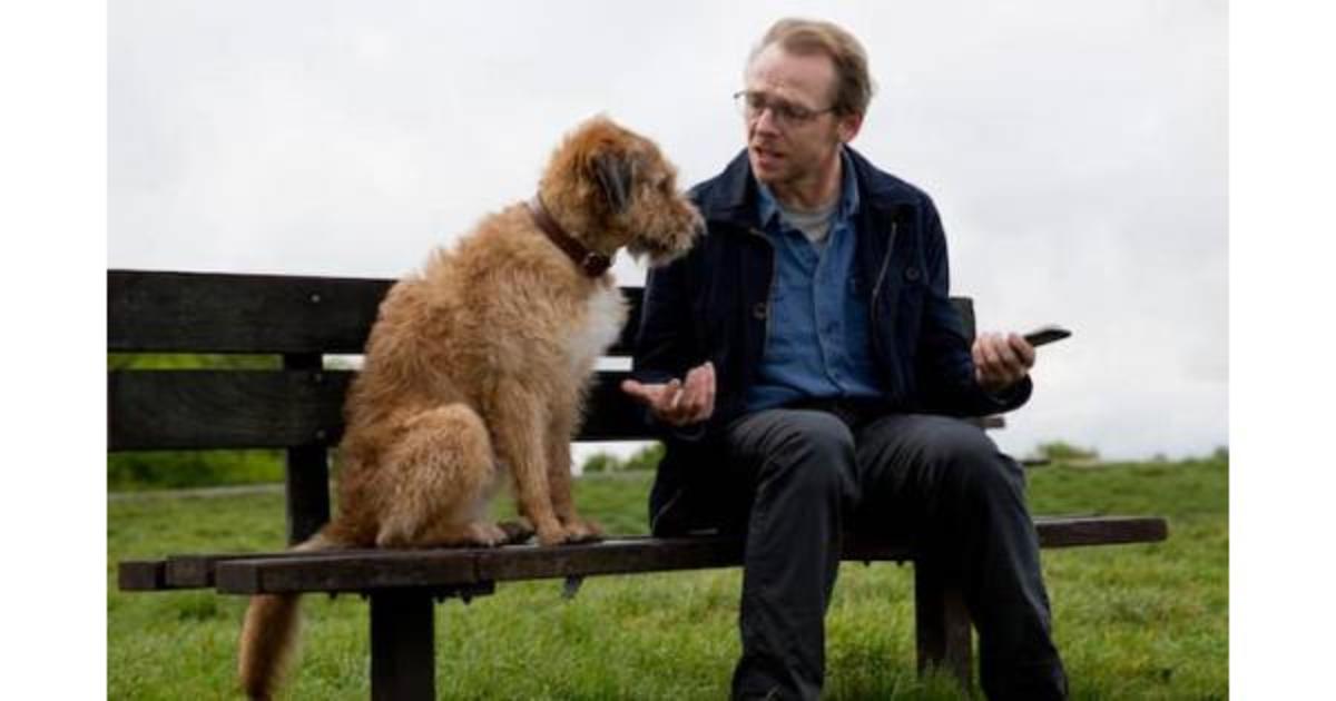 absolutely-anything-review