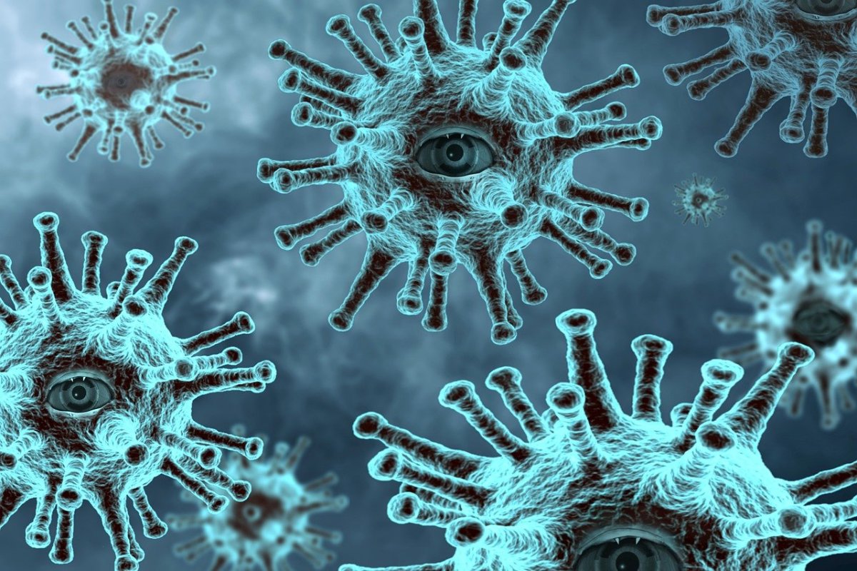 The coronavirus pandemic