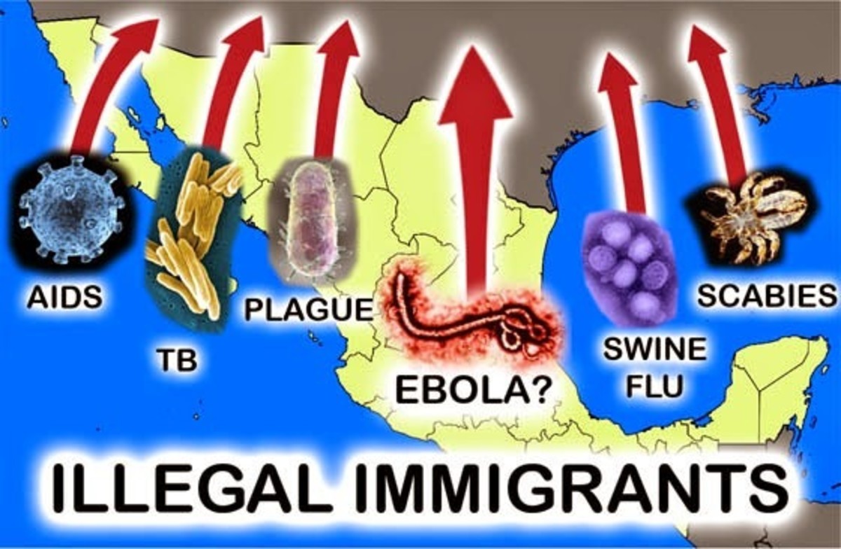 Infectious Disease Brought into America by  Illegal Aliens