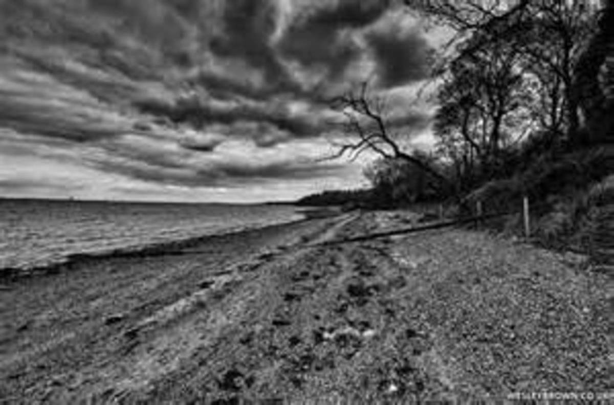 A Black and White World