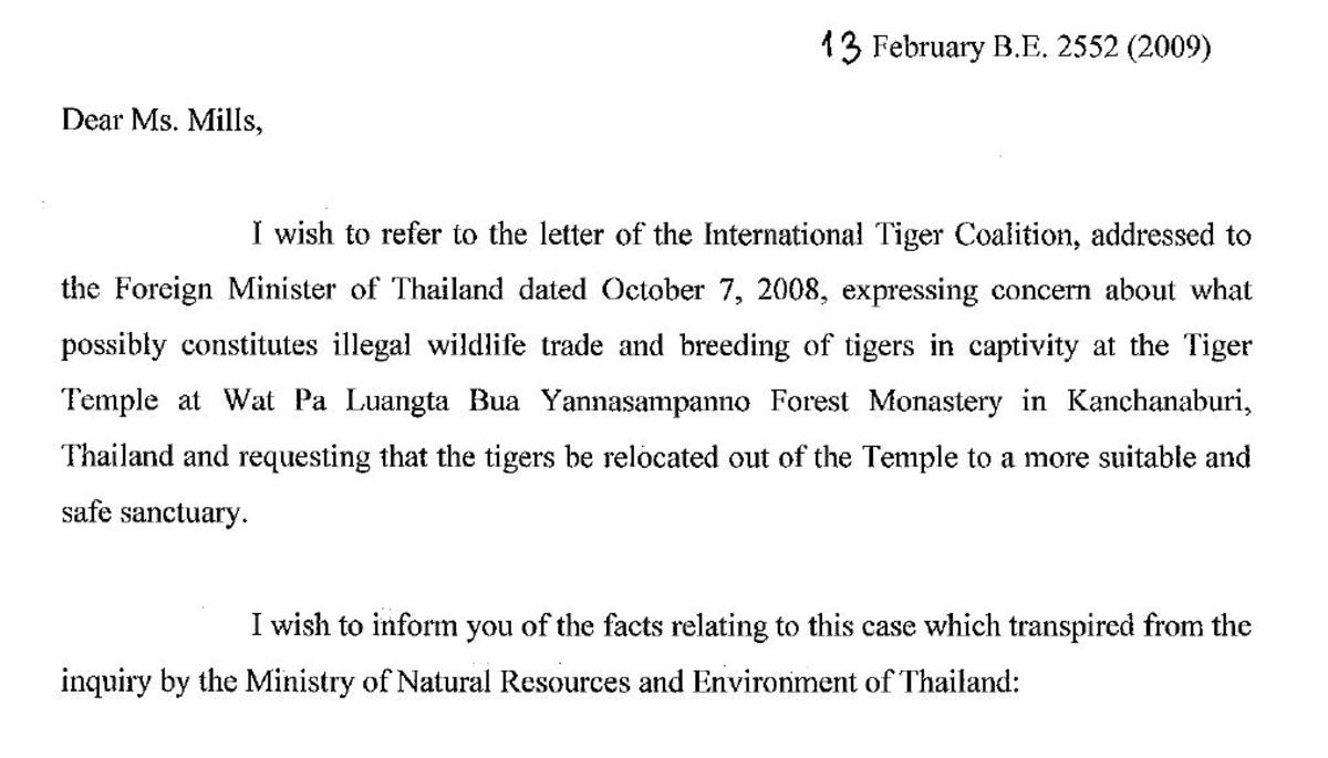 tiger-temple-thailand