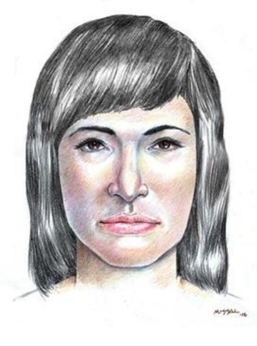 Who Is the Isdal Woman? - The CrimeWire