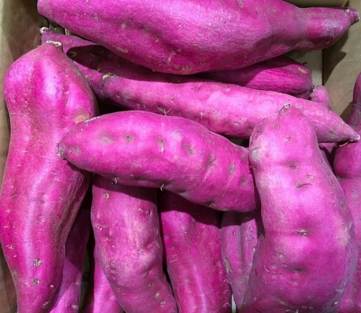 Purple sweet potatoes 