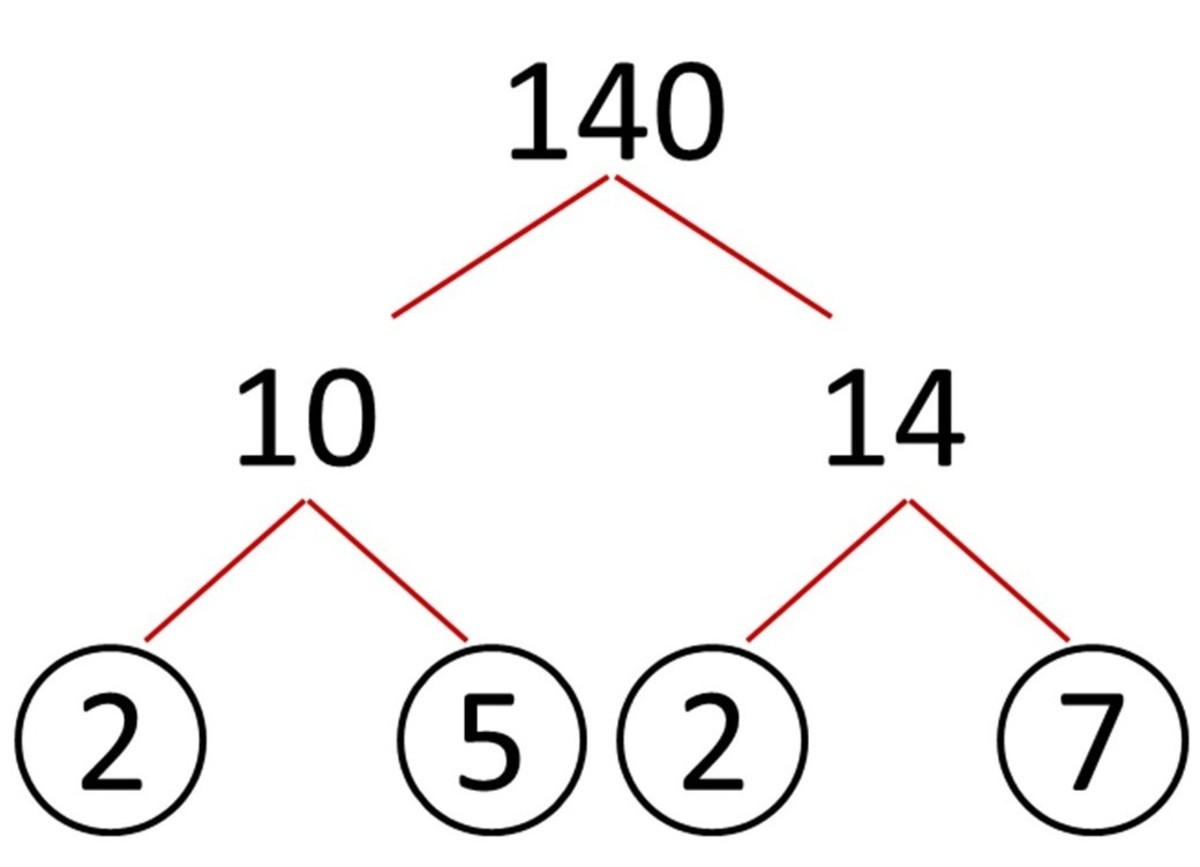 Prime factorisation tree for 140 - step two.