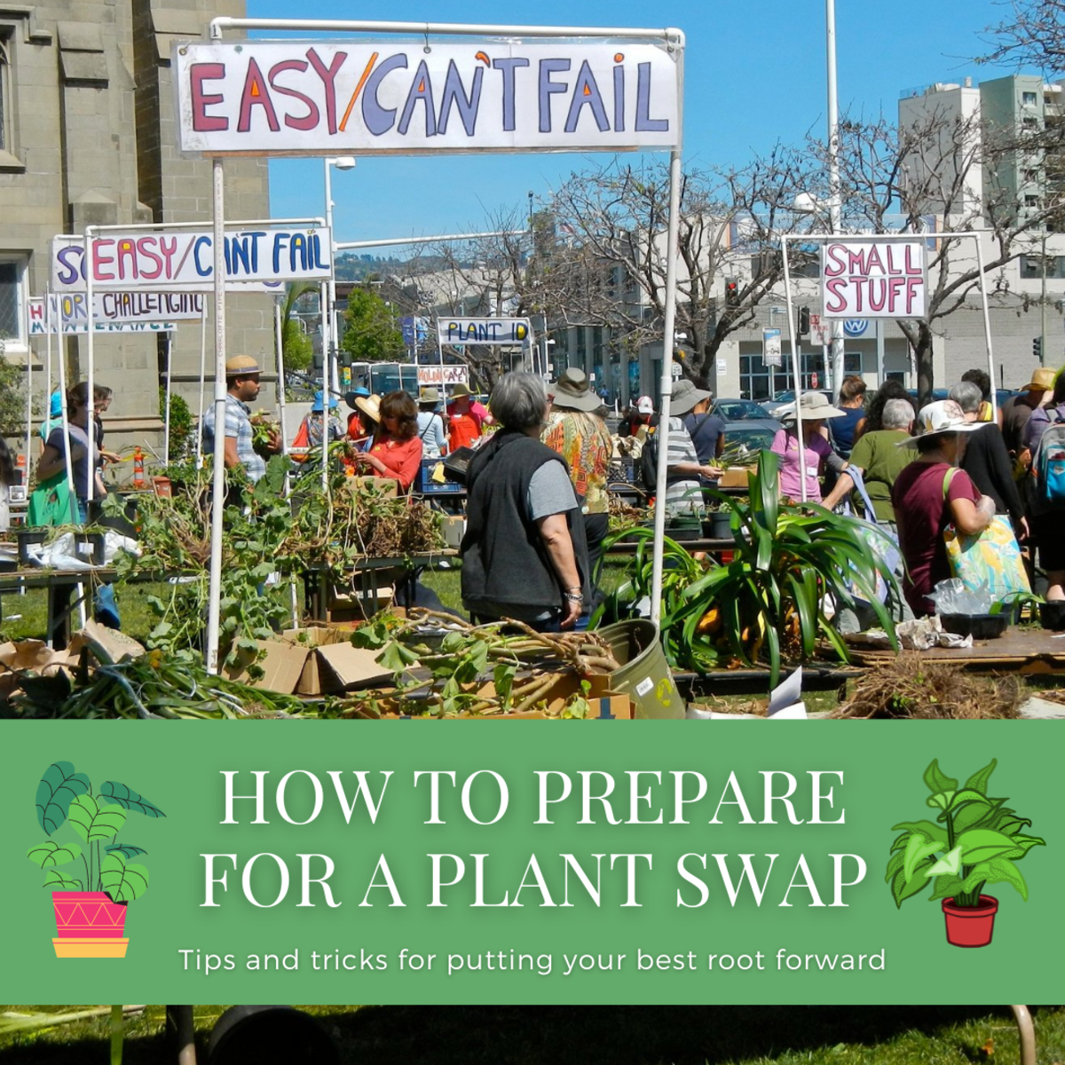 This article will provide some tips and tricks for how best to prepare for a plant swap. 