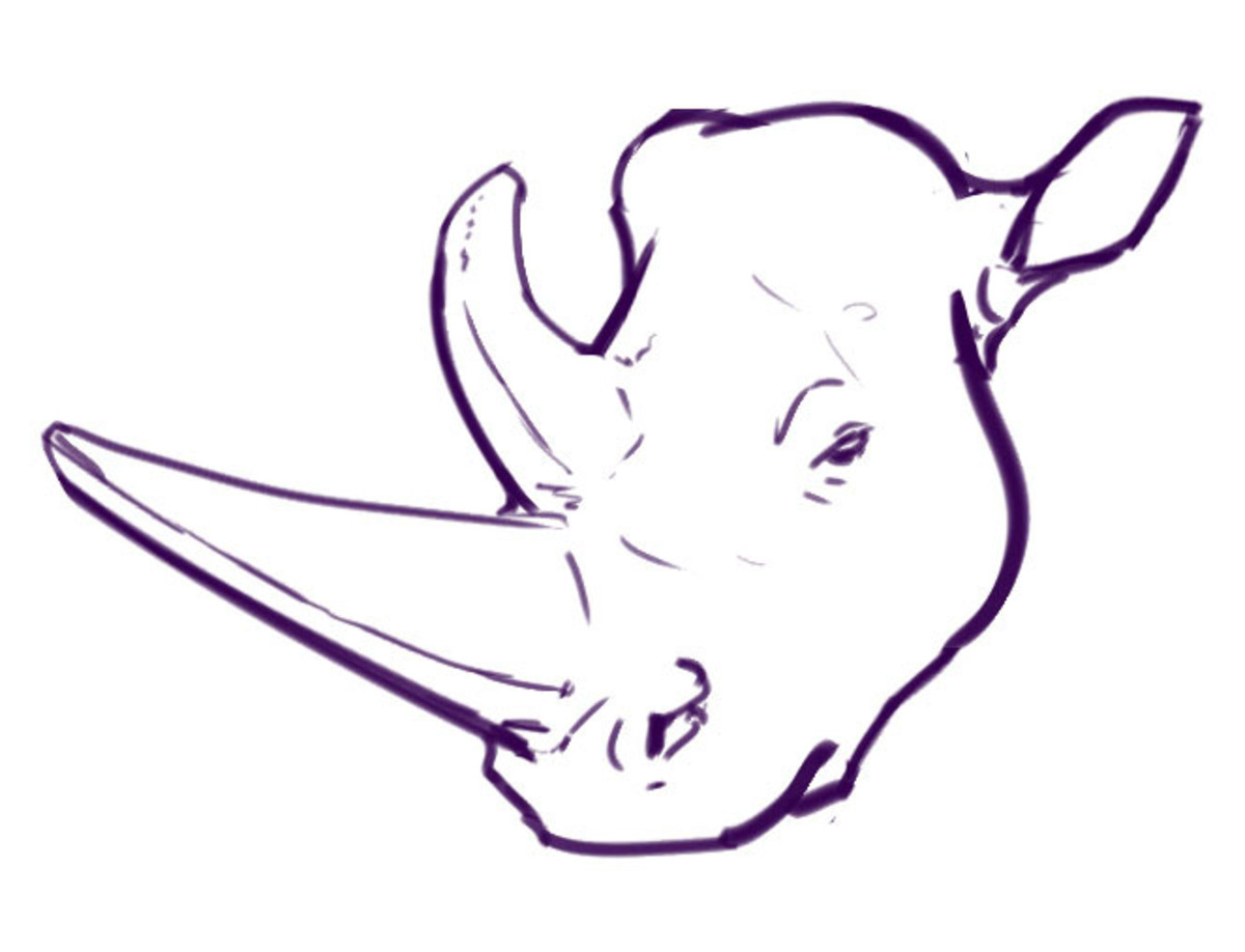 Did You Draw a Rhino Today? 4 Reasons to Draw More Rhinos